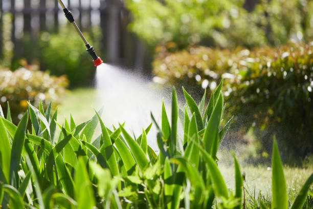 24/7 Emergency Ant Control experts in Valdez, AK