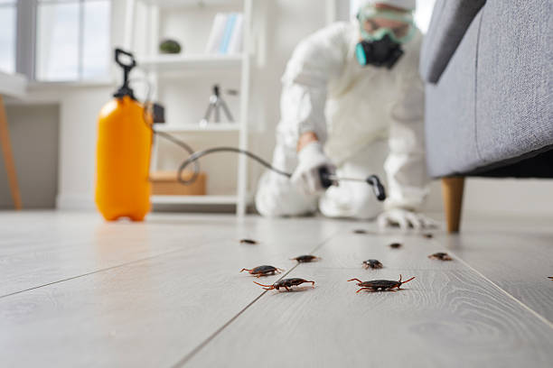 Trusted Fumigation Services service in Valdez, AK - Nex Pest Control